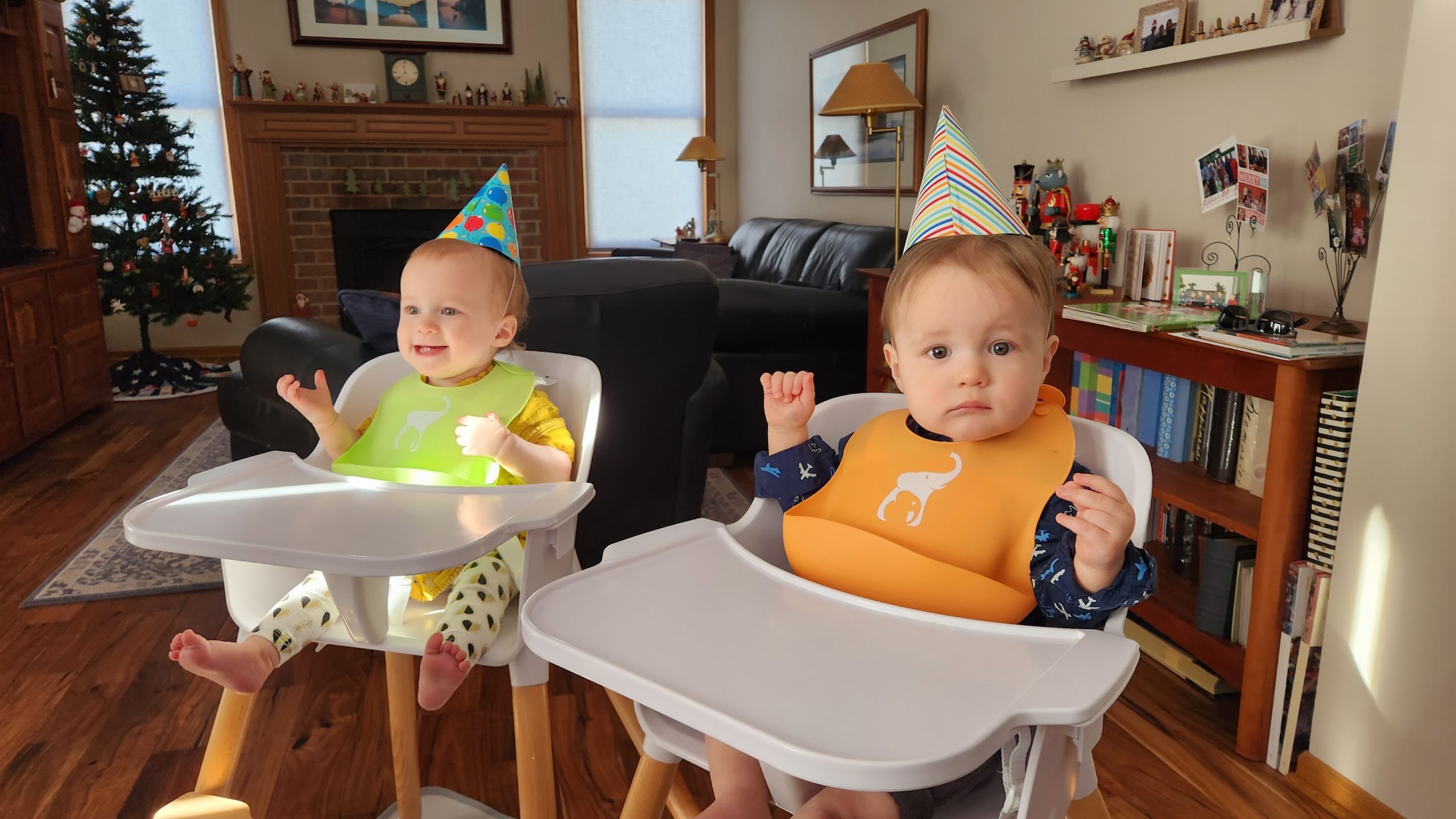 MERCURY & PHOENIX ARE 1 YEAR OLD!!!!!